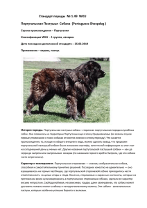 Стандарт породы № 1.49 WKU Португальская Пастушья Собака