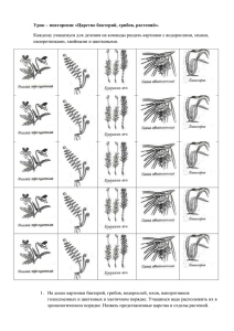 Урок – повторение «Царство бактерий, грибов, растений