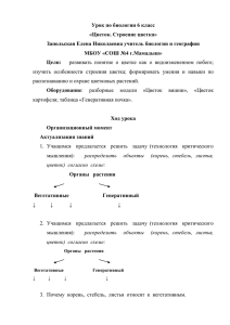 Урок по биологии 6 класс «Цветок. Строение цветка»