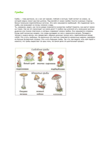 Рассказ о грибах для детей.