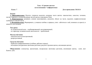 Тема  «Строение цветка» (естествознание + информатика)