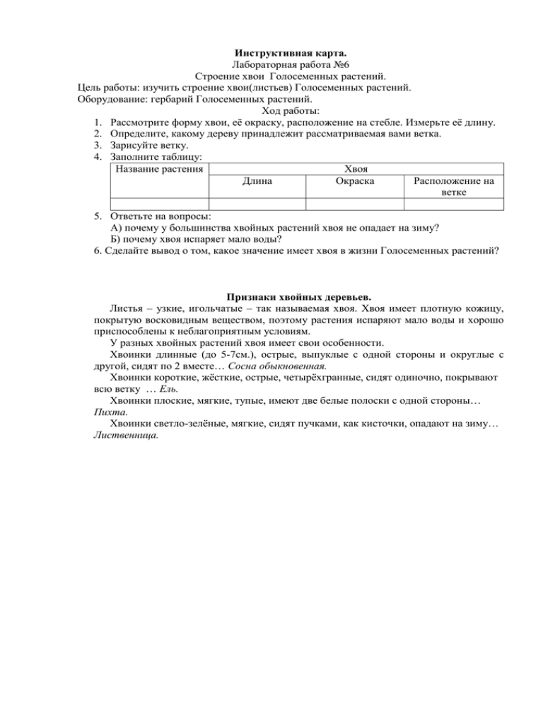 Лабораторная работа строение хвои