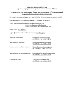 Годовой отчет директора 2015г.