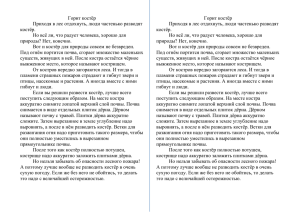 Горит костёр Приходя в лес отдохнуть, люди частенько разводят