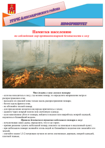 Правила безопасного тушения небольшого пожара в лесу