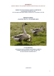 Бизнес-план по выращиванию гусей