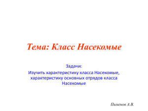 09. Класс Насекомые