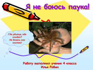 Я не боюсь паука! Работу выполнил ученик 4 класса Илья Робин