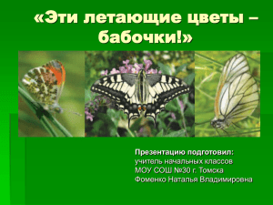 Бабочки Томской области