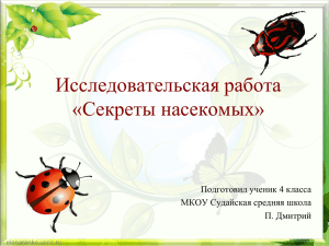 Исследовательская работа «Секреты насекомых» Подготовил ученик 4 класса МКОУ Судайская средняя школа