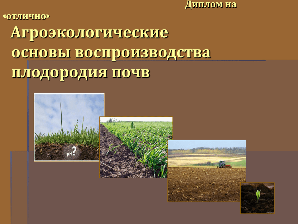 Полное плодородие