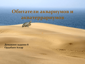 Обитатели аквариумов и акватеррариумов Домашнее задание 8 Ордабаев Аскар