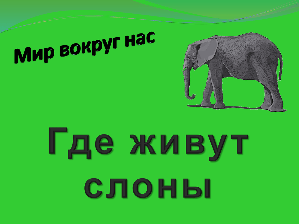 Слон где живет животное