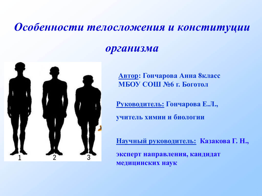 Особенности физического развития и телосложения у представителей различных видов спорта презентация