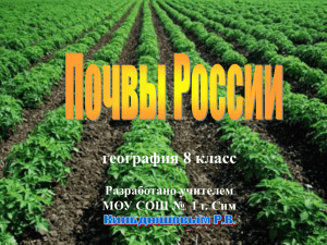 Почвы России