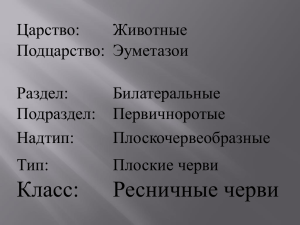 Тип плоские черви.