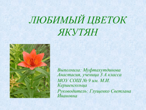 Муфтахутдинова Анастасия - 3 «а» класс: Любимый цветок якутян