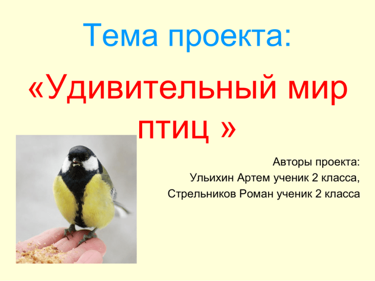 Удивительные птицы проект