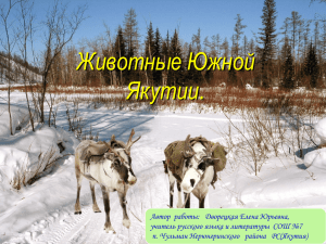 Животные Южной Якутии
