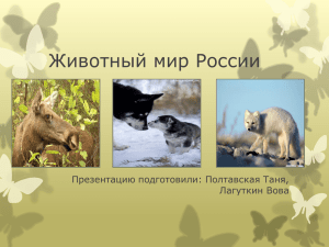 Животный мир России