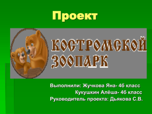 Проект Костромской зоопарк - Образование Костромской области