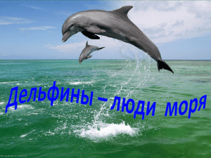 Дельфины – люди в море