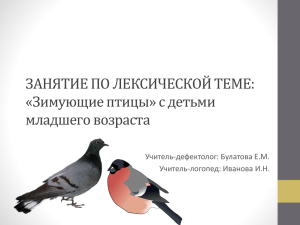 ЗАНЯТИЕ ПО ЛЕКСИЧЕСКОЙ ТЕМЕ: «Зимующие птицы