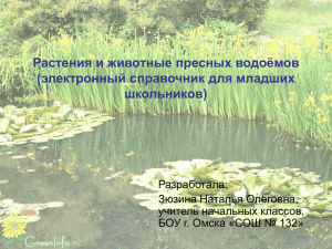 Растения и животные пресных водоёмов (электронный справочник для младших школьников) Разработала: