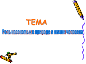 ТЕМА Роль насекомых в природе и жизни человека