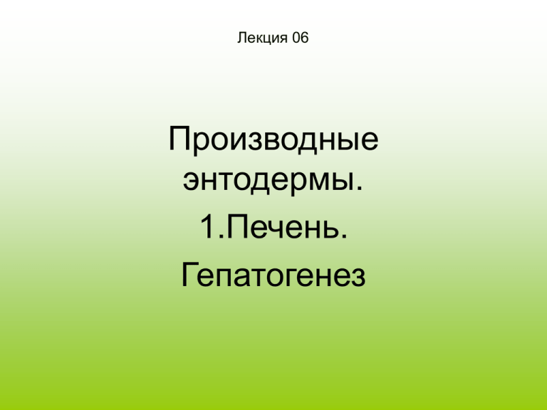 Производные энтодермы