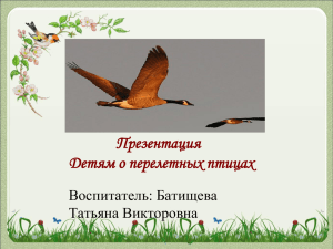 Презентация Детям о перелетных птицах Воспитатель: Батищева Татьяна Викторовна