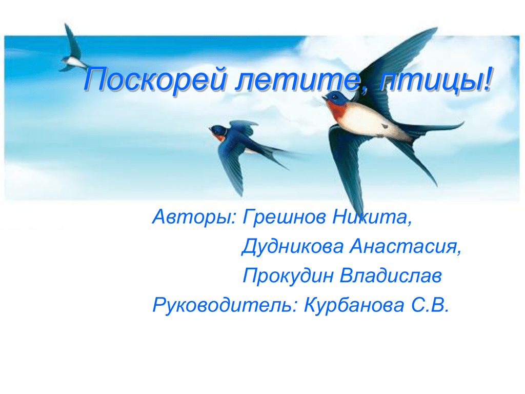 Скоро лечу. Летите скорее летите. Кто из птиц летает быстрее всех. Орлова предложение птицы быстро улетели. Афиша спектакль летите птицы.