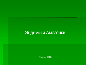 Эндемики Амазонки Москва 2008
