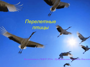 Перелетные птицы Воспитатель ГБДОУ №70:  Профатилова Надежда Павловна