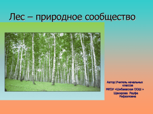 Лес – природное сообщество Автор:Учитель начальных классов МКОУ «Шибаевская ООШ »
