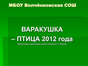 ВАРАКУШКА – ПТИЦА 2012 года МБОУ Волчёнковская СОШ