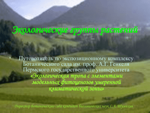 Экологические группы растений - Пермский государственный