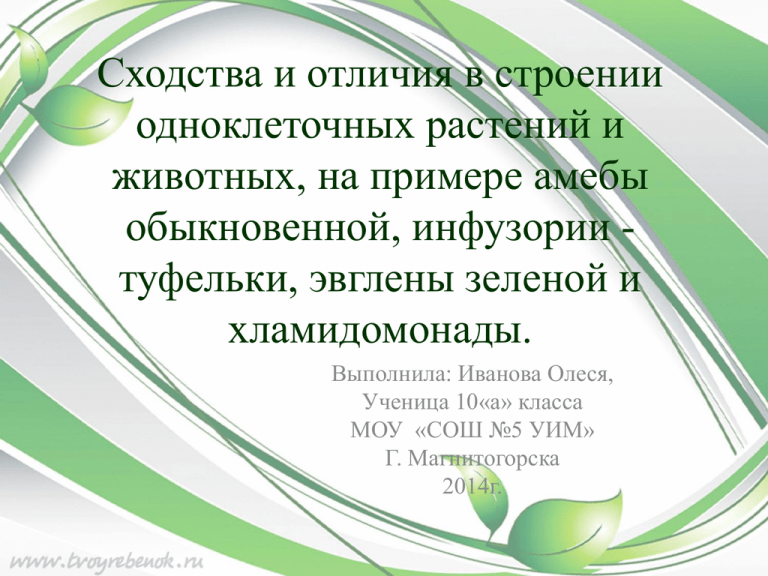 Используя рисунки в тексте параграфа докажите сходство в строении и жизнедеятельности представителей