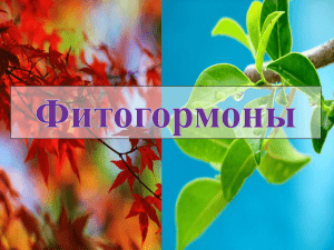 Раздел 9: Фитогормоны