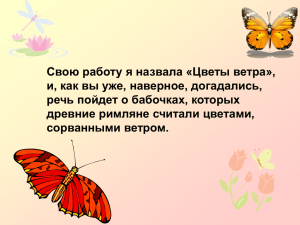 5в_Кучина_бабочки