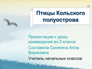 Птицы Кольского полуострова Презентация к уроку краеведения во 2 классе