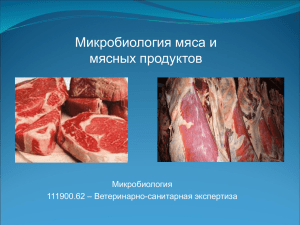 Презентация на тему: «Микробная порча мяса»