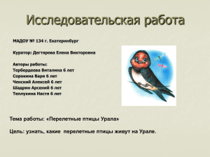 Перелетные птицы Урала