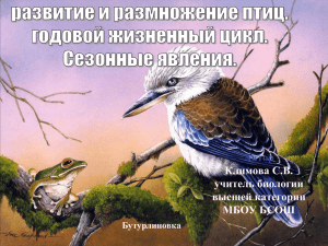 Автор Климова С.В. учитель биологии высшей категории