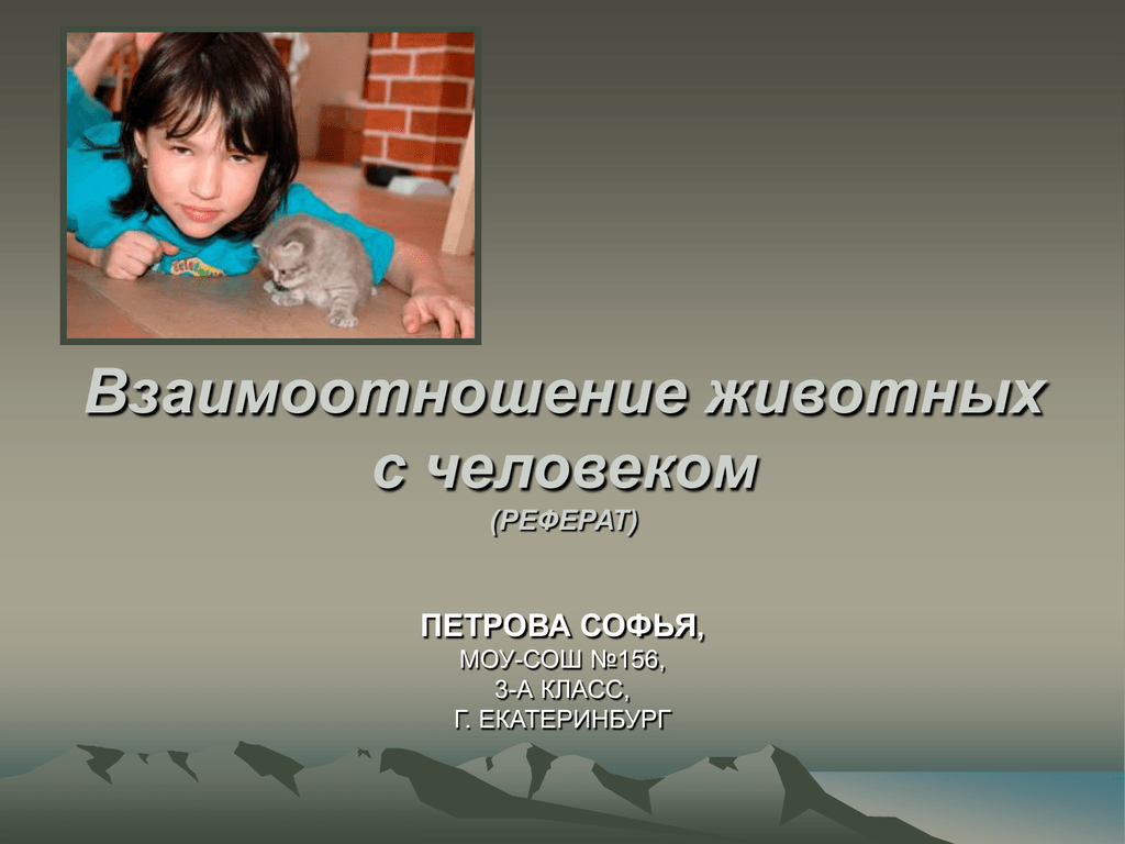 Речь животных и человека. Взаимодействие человека и животных. Взаимодействие коровы и человека. Человек реферат. Реферативный человек.