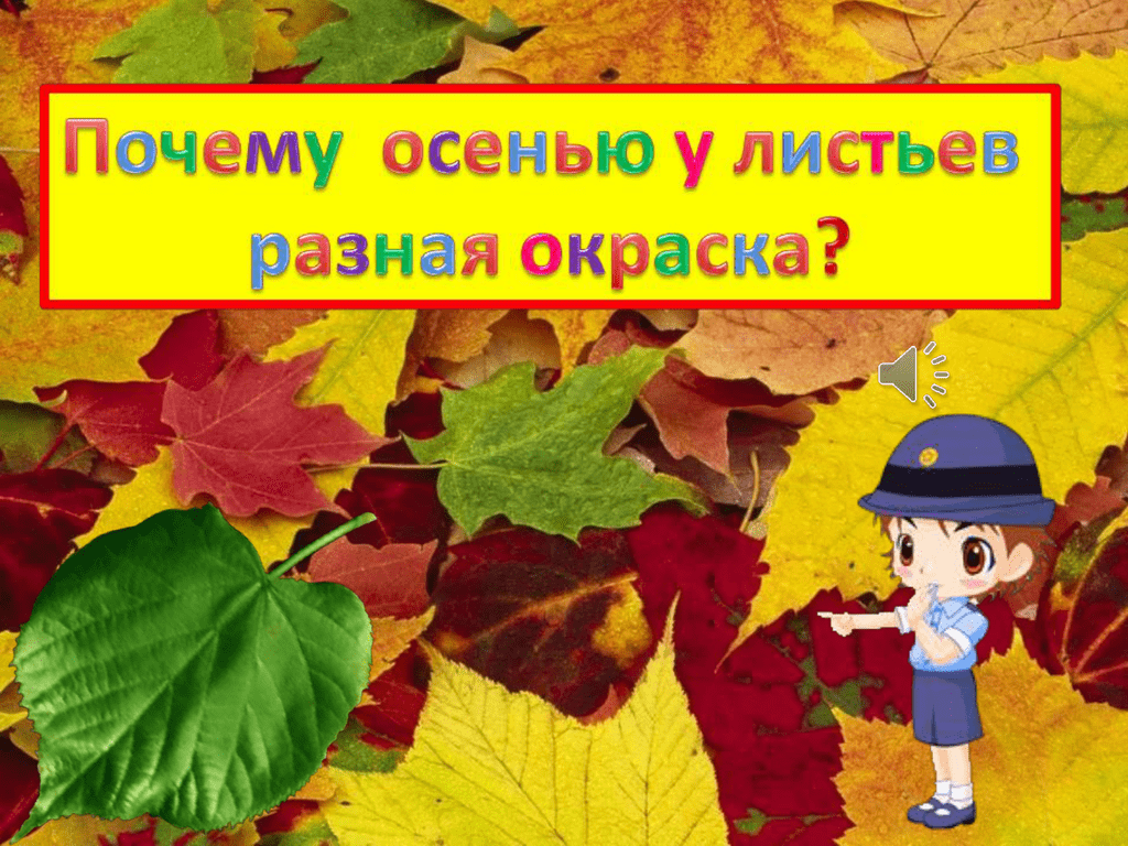 Стой листьев. Почему осенью листья разного окраса. Почему наступает осень. Презентация к урока почему листья разноцветные. Почему осенью листья разноцветные 1 класс.