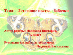 Тема:   Летающие цветы – бабочки Автор работы: Новикова Виктория,