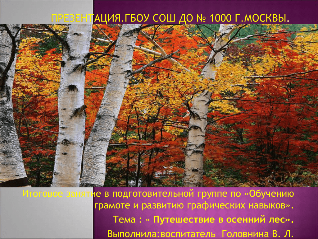 Презентация подготовительная. Путешествие в осенний лес. Презентация по теме осенний лес. Осенний лес для презентации. Презентация осенний лес подготовительная группа.