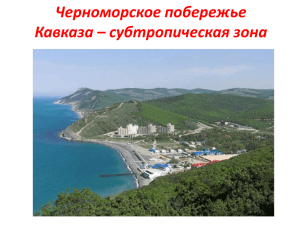 Черноморское побережье Кавказа – субтропическая зона