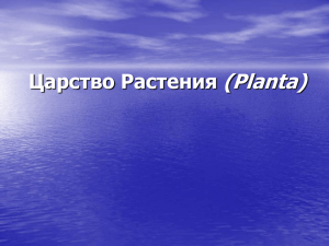 (Planta) Царство Растения